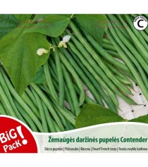 ŽEMAŪGĖS DARŽINĖS PUPELĖS Contender, 20 g